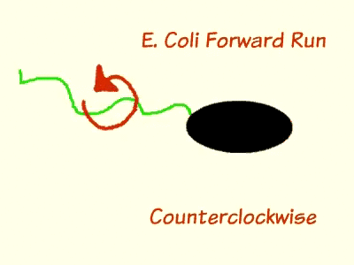 Example of forward motion and tumbling.